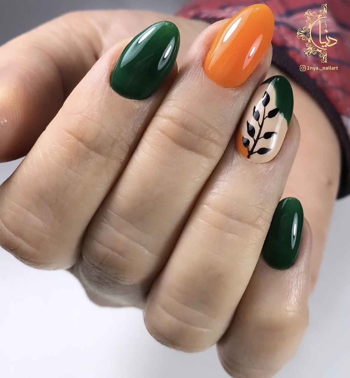 نمونه طراحی ناخن Donya Nail Art